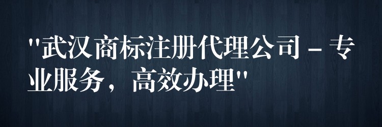 “武汉商标注册代理公司 – 专业服务，高效办理”